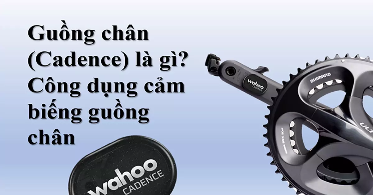 guồng chân là gì