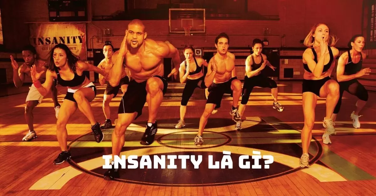 insanity là gì
