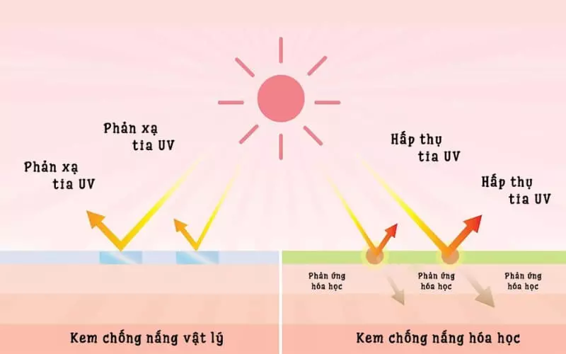 Cơ chế hoạt động