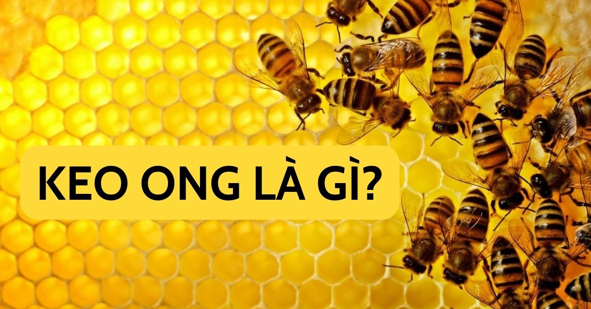 keo ong là gì