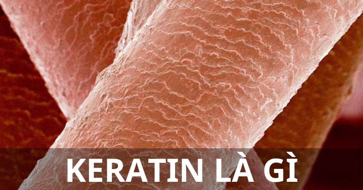 keratin là gì