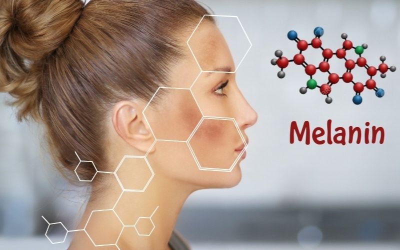Melanin giúp cơ thể chống lại các phản ứng oxy hóa