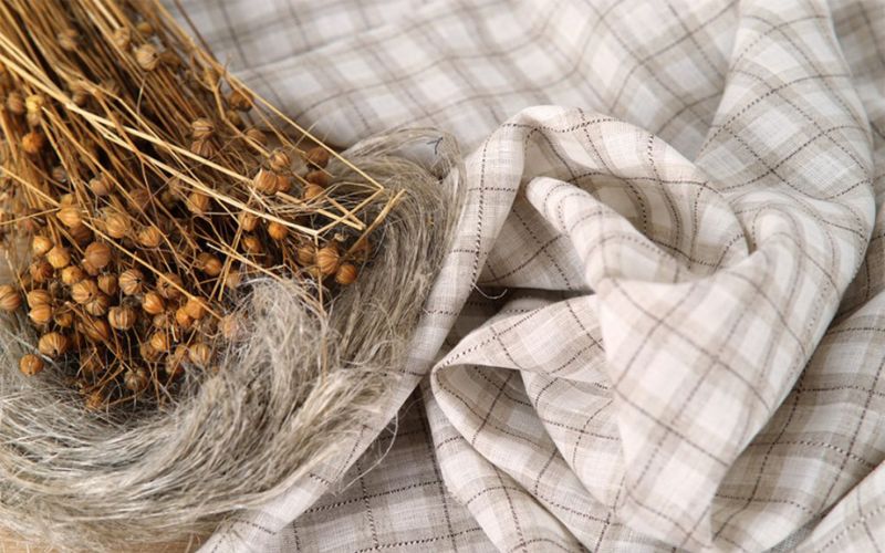 Vải linen có nguồn gốc từ cây lanh