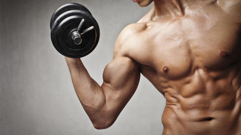 Tập gym giúp các nhóm cơ trên cơ thể săn chắc hơn