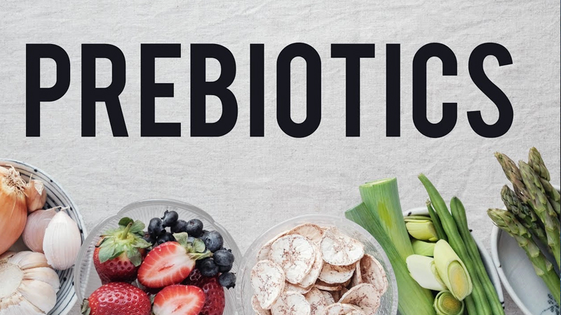 Đừng nên quá lạm dụng các chế phẩm sinh học có chứa prebiotic