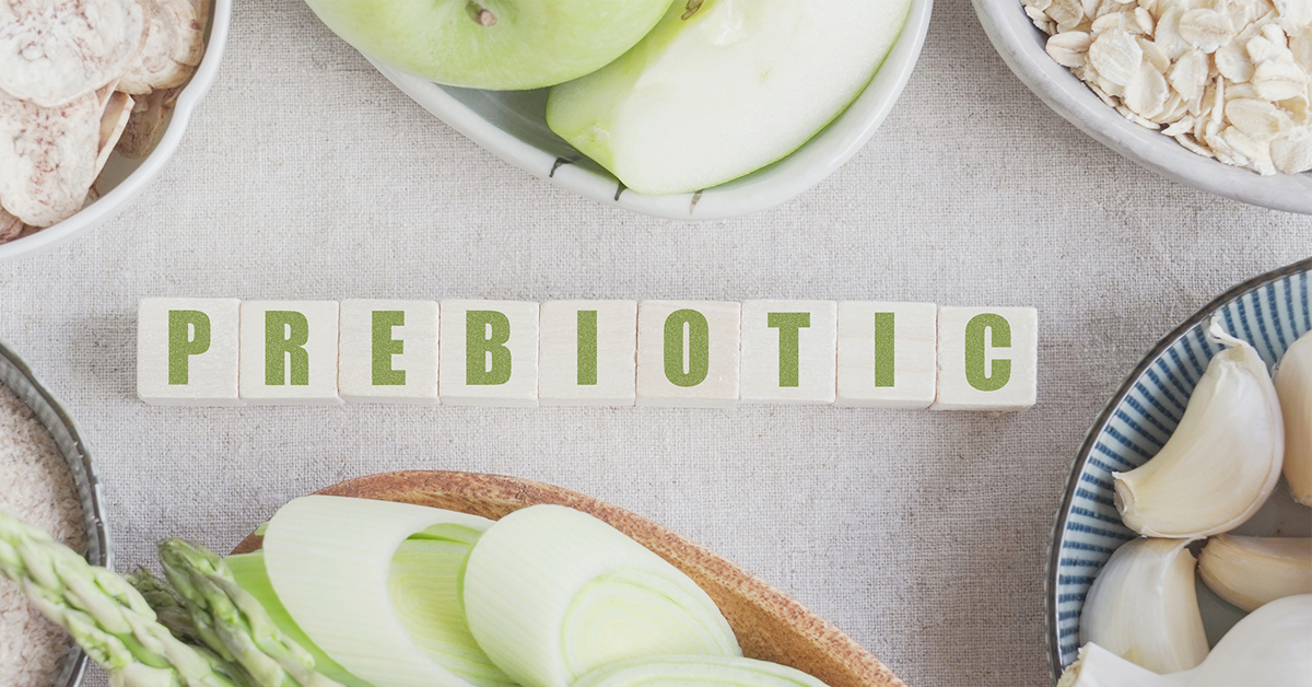 prebiotic là gì