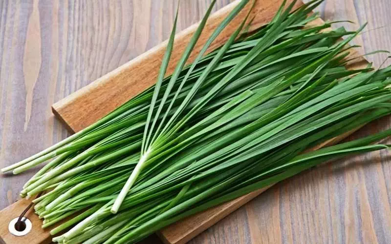 Sử dụng lá hẹ để rơ lưỡi