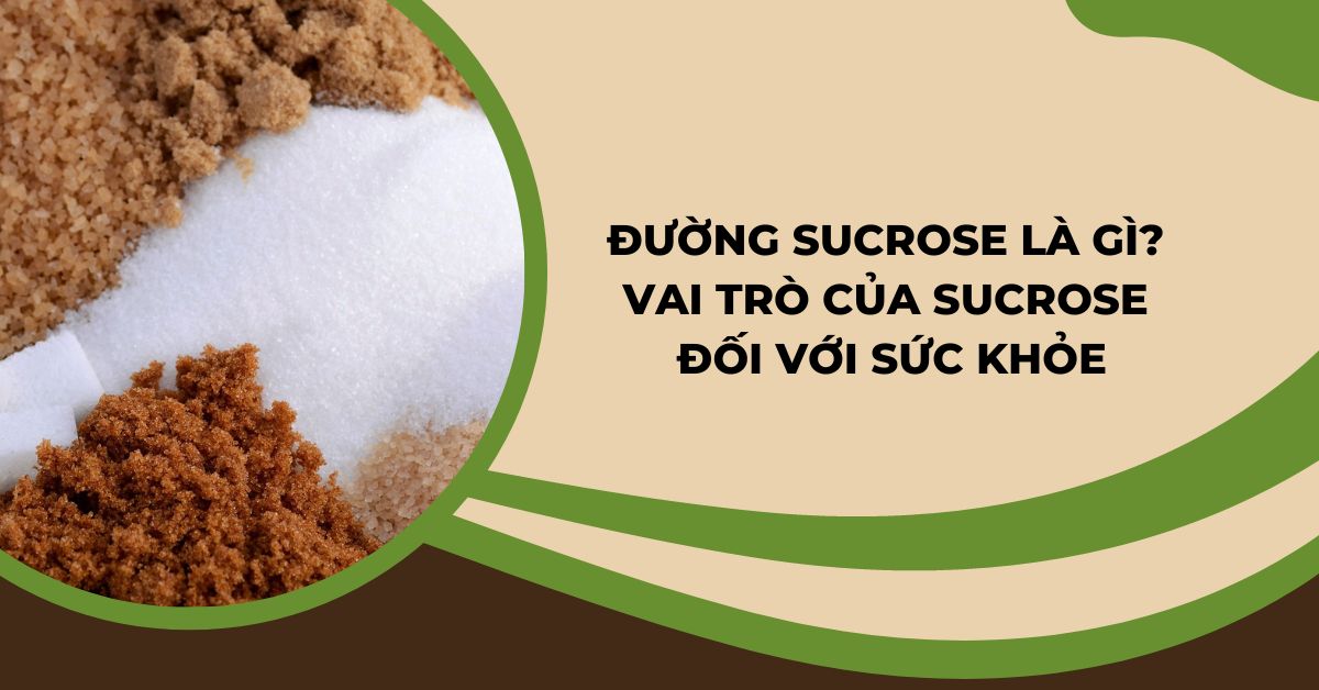 sucrose là gì