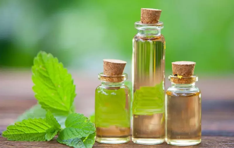 Cách dùng tinh dầu bạc hà
