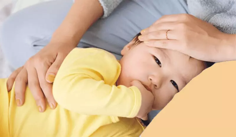 Hạ sốt