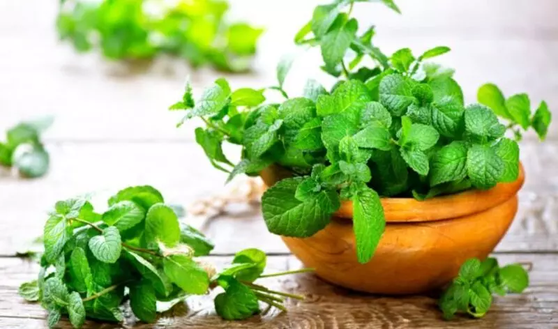 Chăm sóc răng miệng