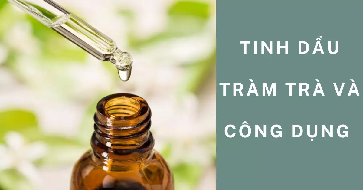 tinh dầu tràm trà có tác dụng gì