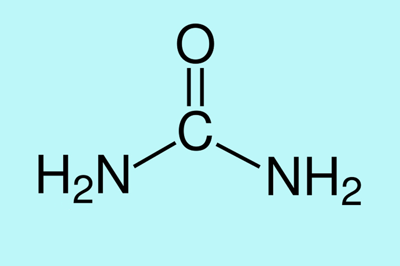 Urea là gì?