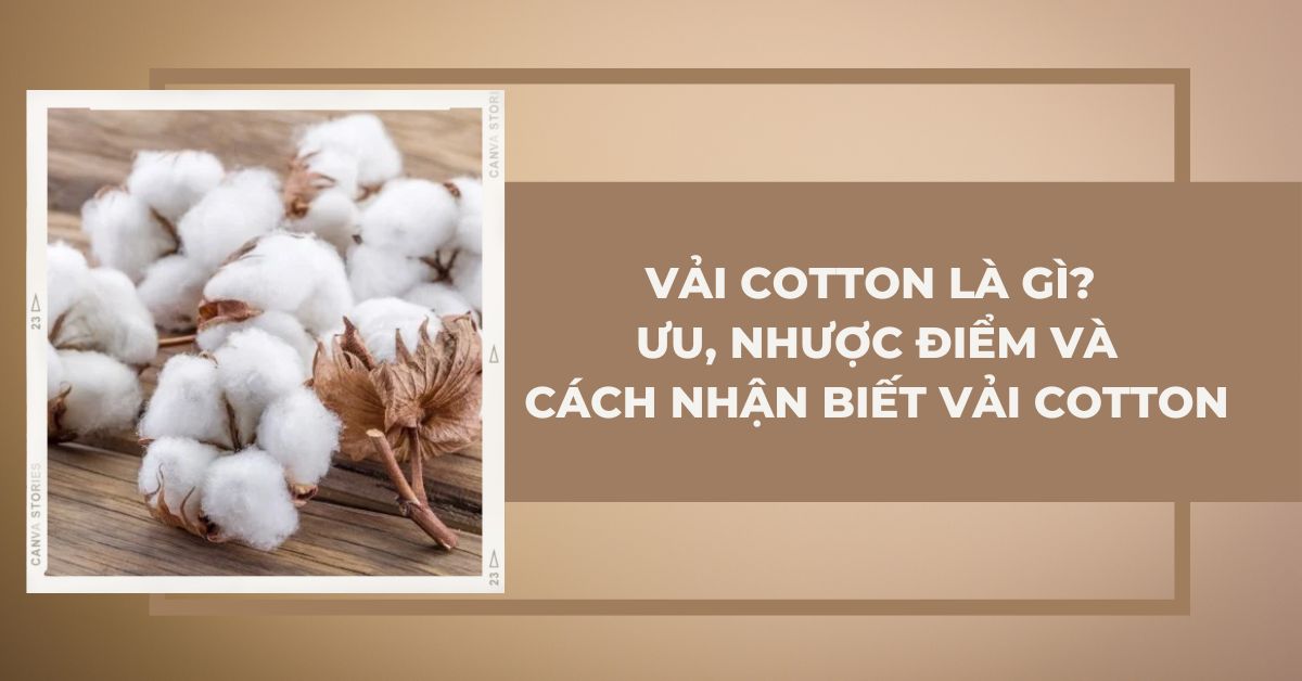vải cotton là gì
