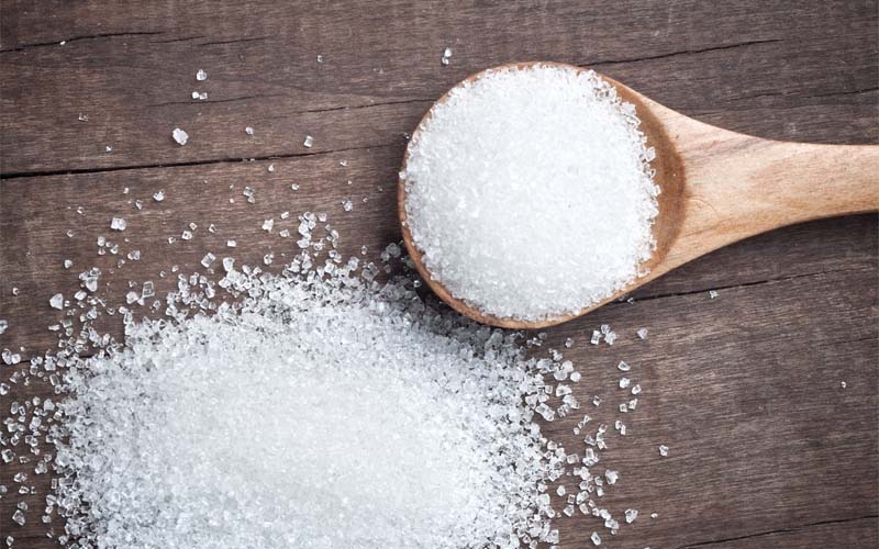 Sucrose đóng vai trò rất quan trọng trong đời sống