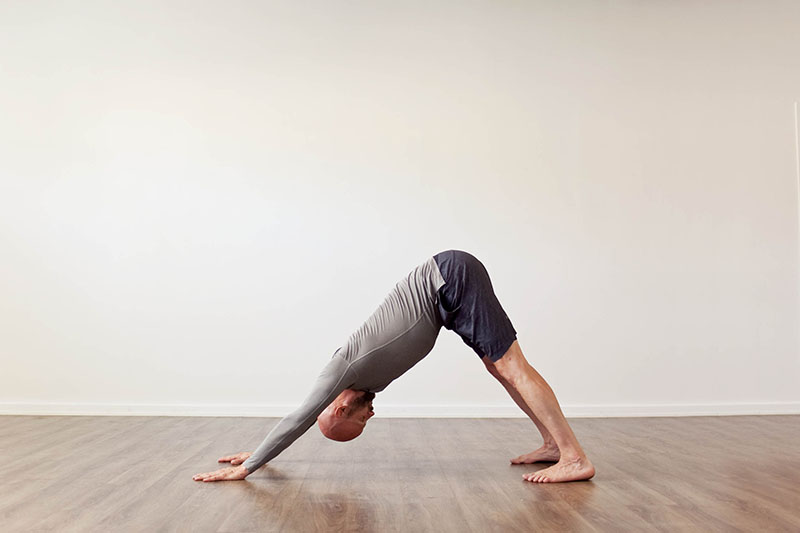 Adho mukha svanasana (Downward dog pose)