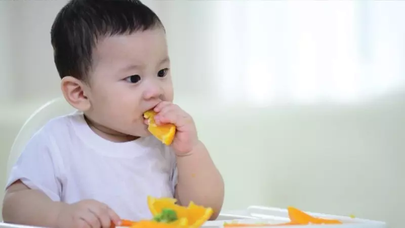 Ăn dặm BLW một kiểu ăn dặm phổ biến