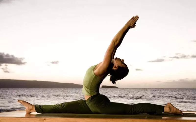 Asana là ngôn ngữ tiếng Phạn có thể hiểu đơn giản là tư thế yoga