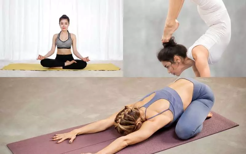 Hiện nay thì Asana có 3 loại chính