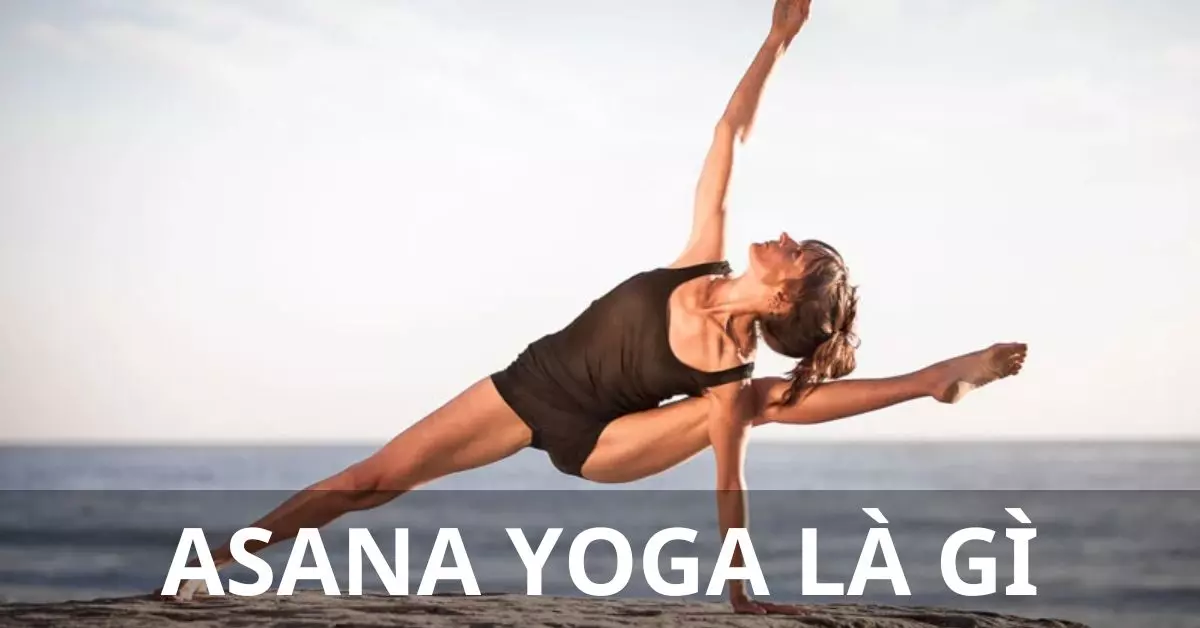 asana yoga là gì