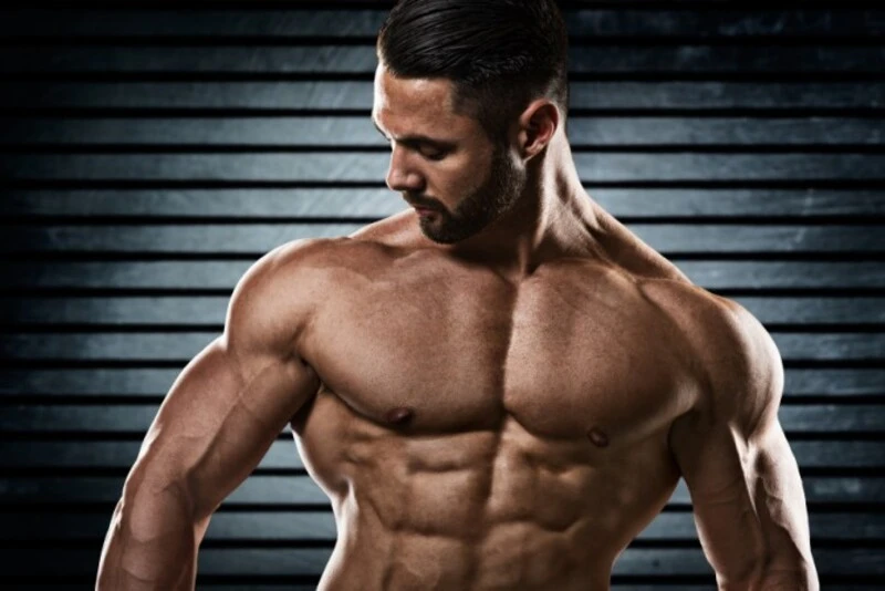 Theo dõi tiến trình bulking