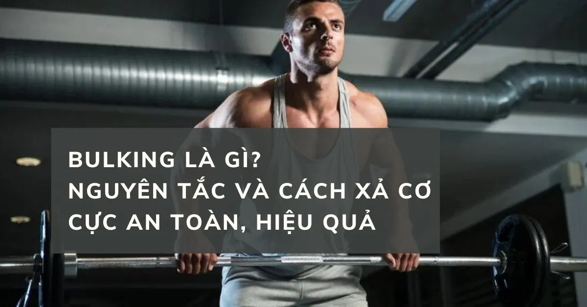 Bulking là gì?
