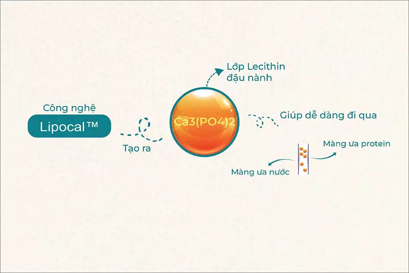 Có nên dùng canxi sinh học sử dụng công nghệ Lipocal cho bé không?