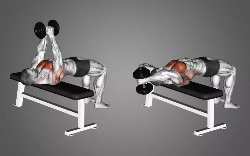 Cách tập Dumbbell Pullover