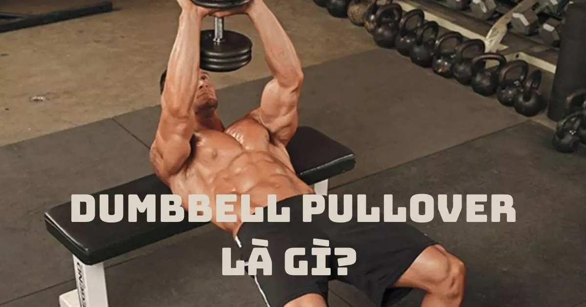 dumbbell pullover