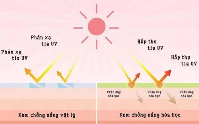 Cơ chế hoạt động