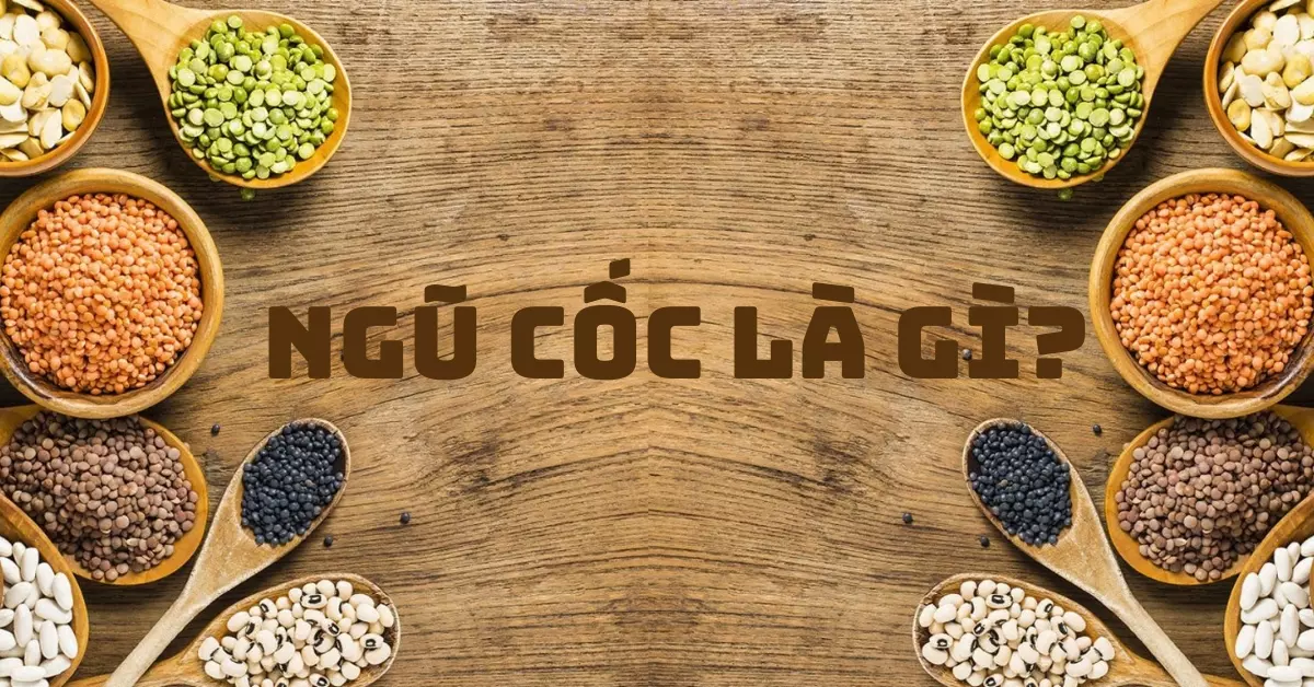 ngũ cốc là gì