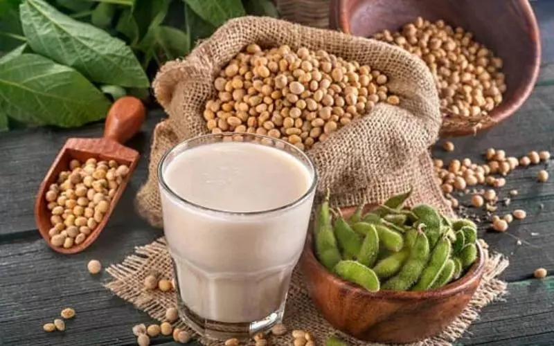 Hỗ trợ cân bằng đường huyết
