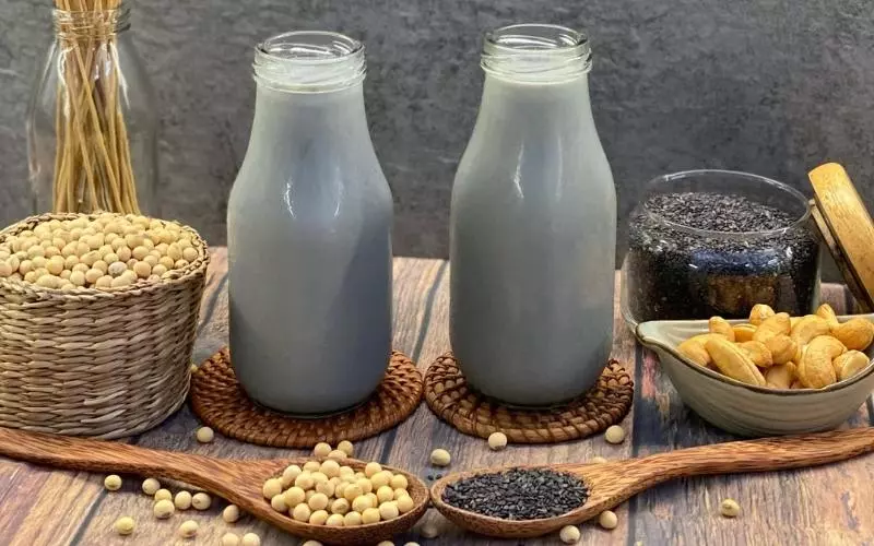 Chống oxi hóa, có lợi cho tim mạch