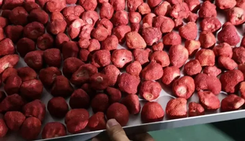 Sấy lạnh là gì?