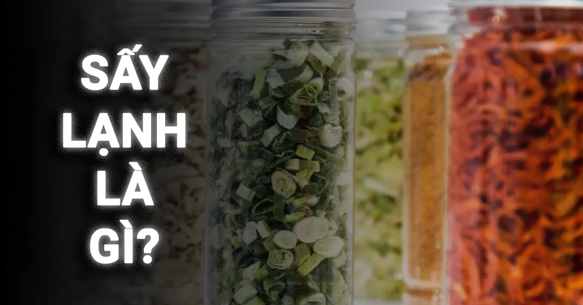 sấy lạnh là gì