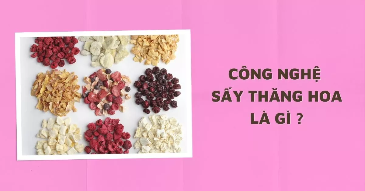 sấy thăng hoa là gì
