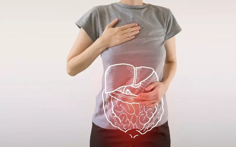 Tốt cho hệ tiêu hóa