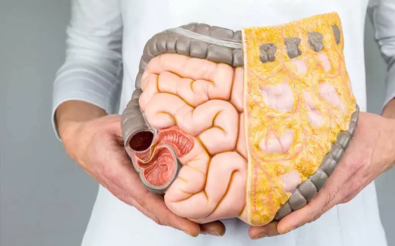 Chất xơ này giúp kích thích hệ tiêu hóa