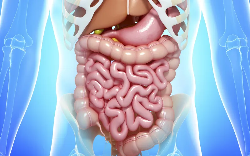 Tăng cường sức khỏe đường ruột