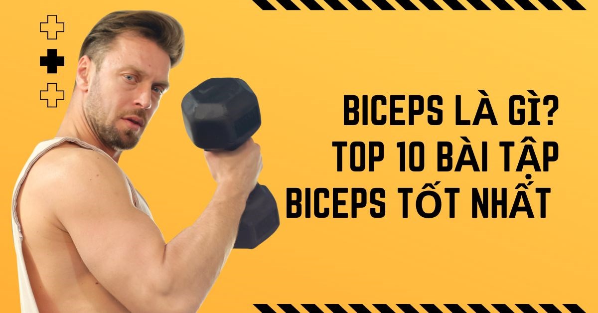 biceps là gì, định nghĩa biceps, các bài tập cơ biceps, hướng dẫn tập biceps, bài tập biceps