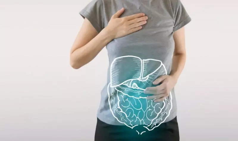 Vai trò của lợi khuẩn Bifidobacterium đối với hệ tiêu hóa
