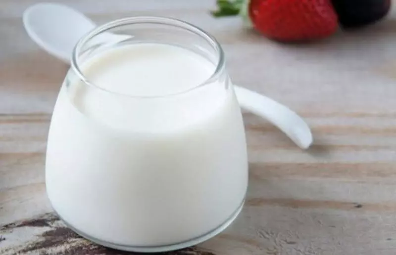 Bifidobacterium được ứng dụng như thế nào?