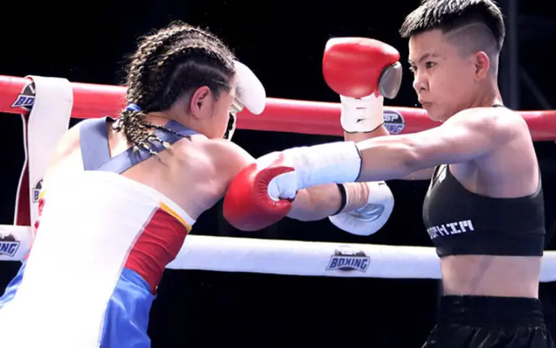 Các loại Boxing hiện nay