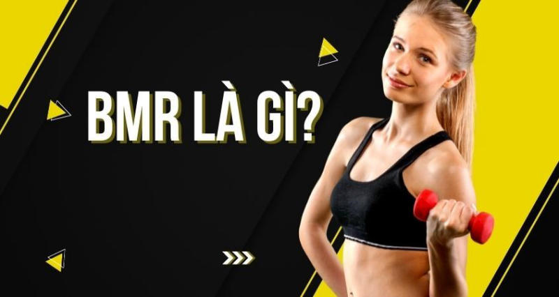 BMR tỷ lệ trao đổi chất cơ bản trong cơ thể con người