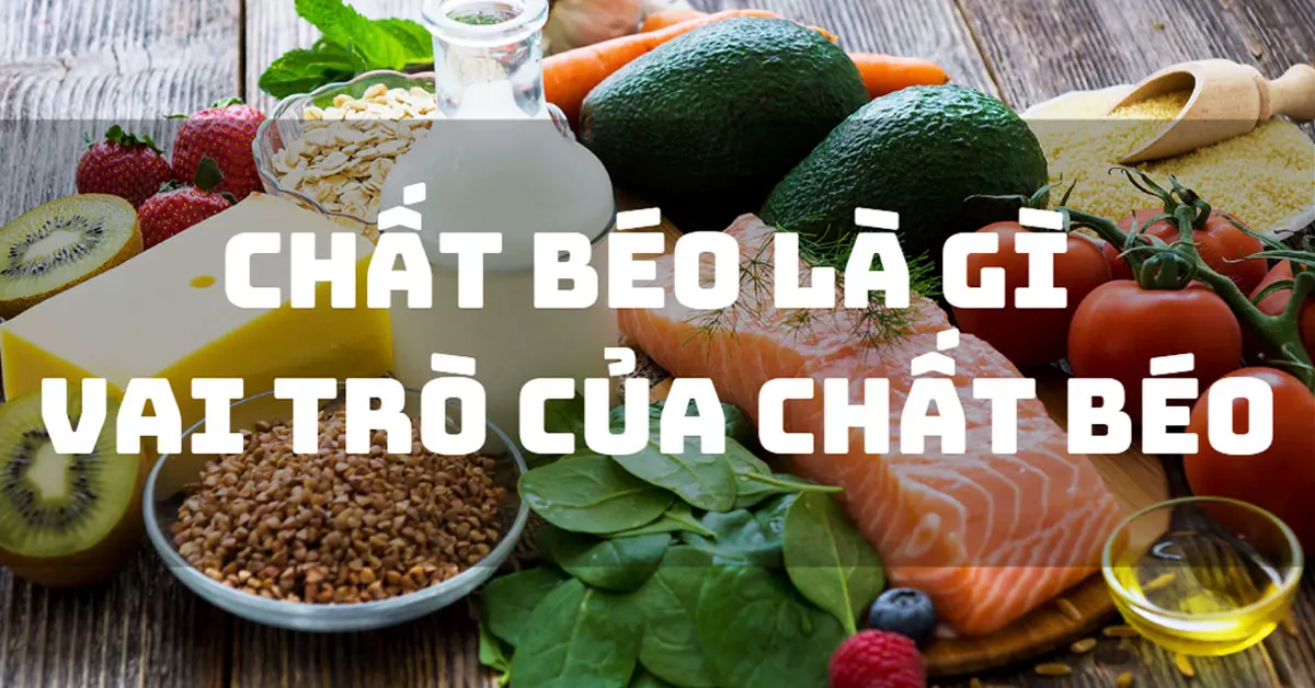 chất béo là gì vai trò của chất béo