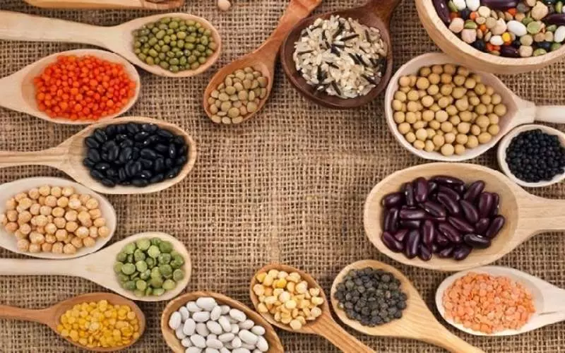 Gạo, ngô, lúa mì và các loại ngũ cốc nguyên hạt khác