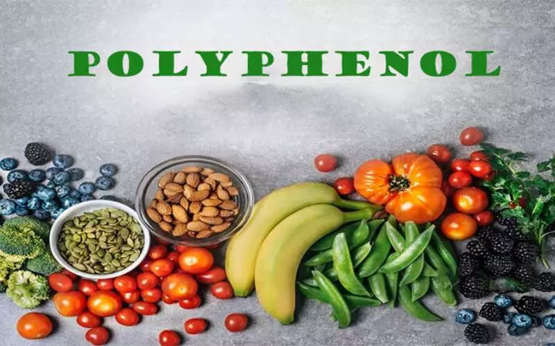 Polyphenol