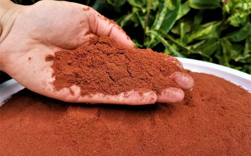 Astaxanthin