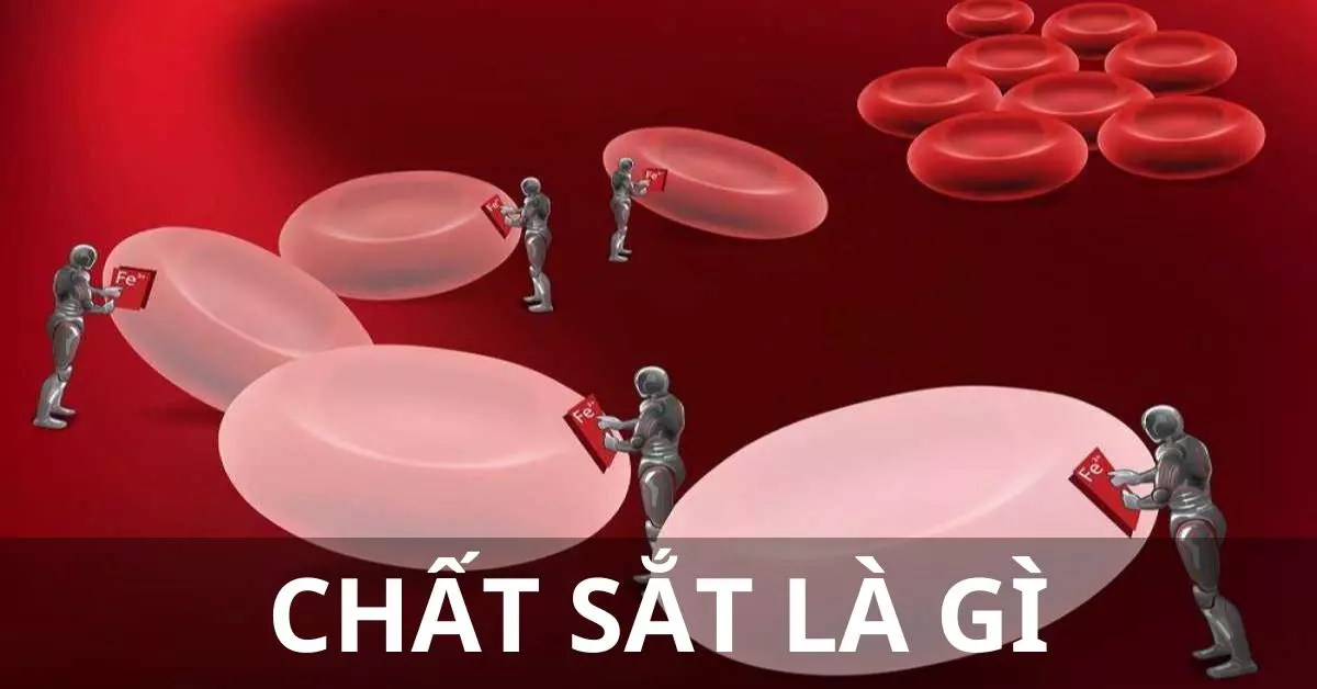 chất sắt là gì