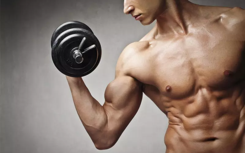 Việc bổ sung collagen còn giúp tăng quá trình tổng hợp protein ở cơ bắp cũng như kích thích sự tăng trưởng của nó